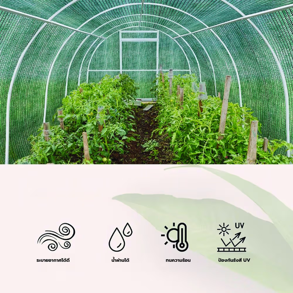 POLLO สแลน HDPE 80% รุ่นSH1100-65 ขนาด2X100M 80%(หนึ่งเข็ม) สีเขียว